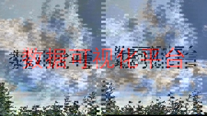 数据可视化平台
