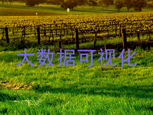 大数据可视化