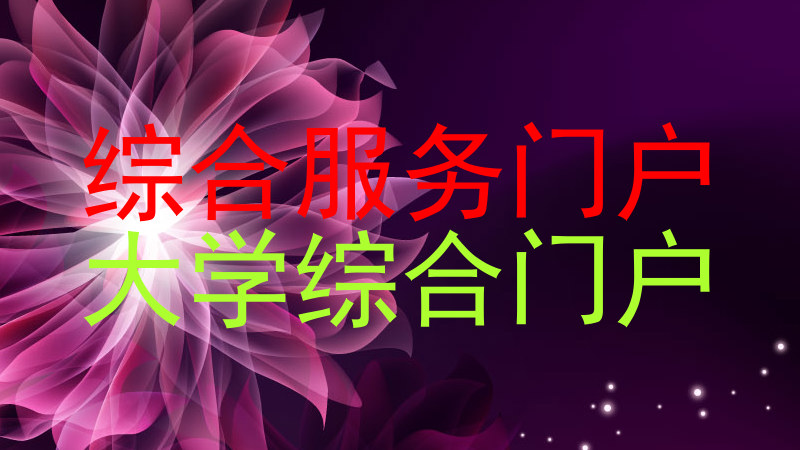 综合服务门户|大学综合门户