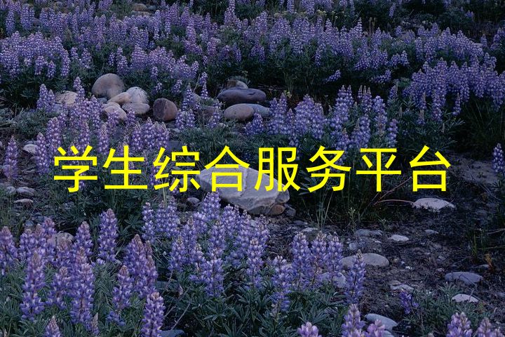 学生综合服务平台