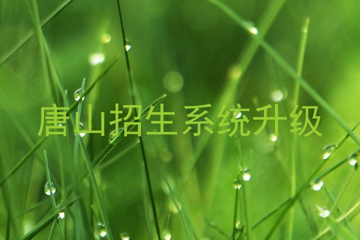 唐山招生系统升级