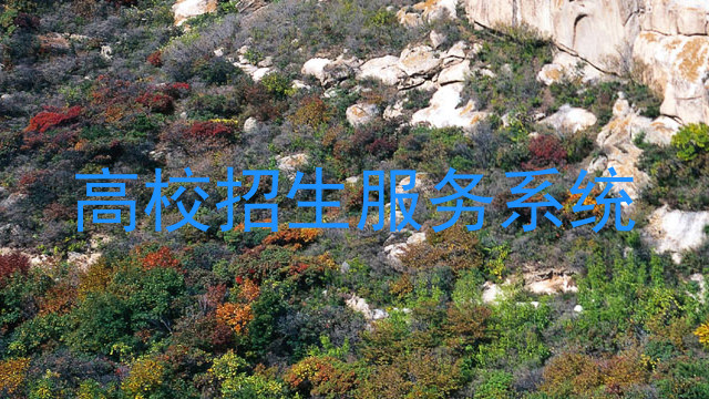 高校招生服务系统