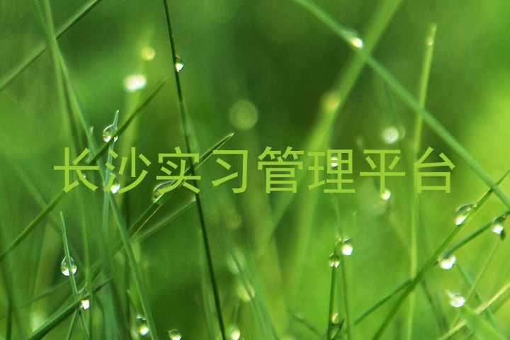 长沙实习管理平台