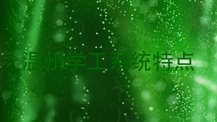 温州学工系统特点