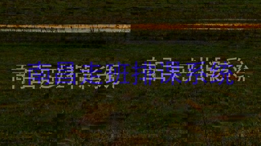 南昌走班排课系统