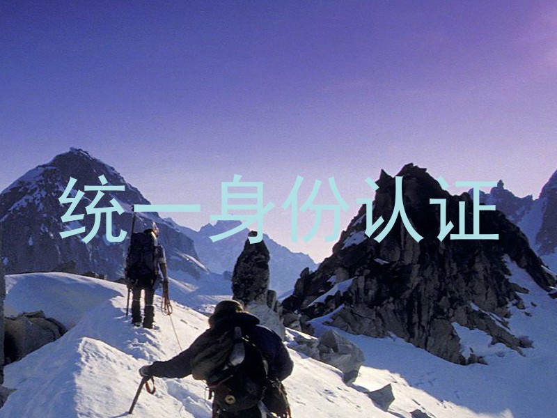 统一身份认证