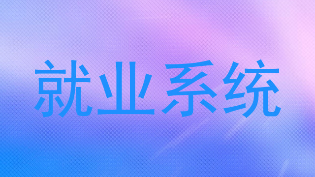 就业系统