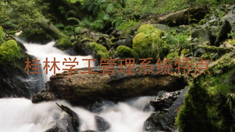 桂林学工管理系统特点