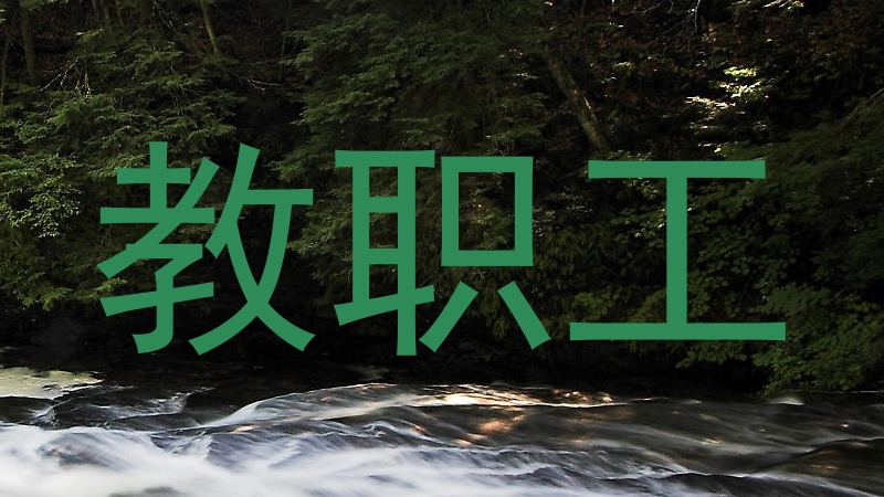教职工