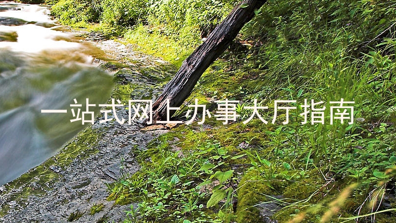 一站式网上办事大厅指南