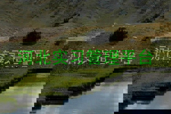 河北实习管理平台