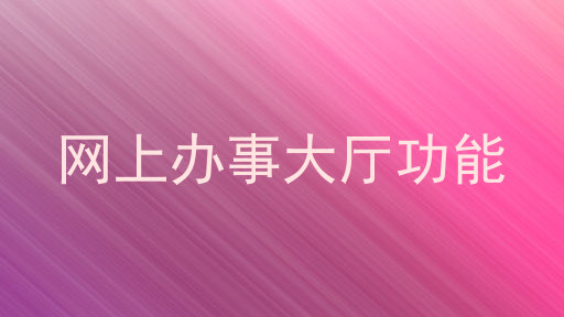 网上办事大厅功能