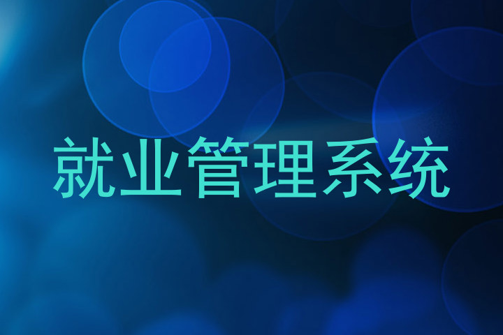 就业管理系统