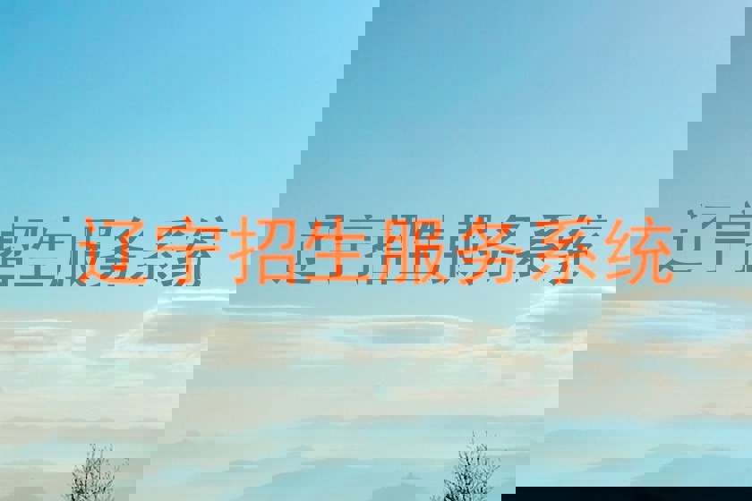 辽宁招生服务系统