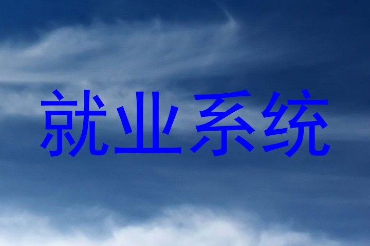 就业系统