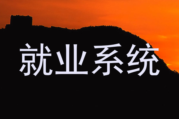 就业系统