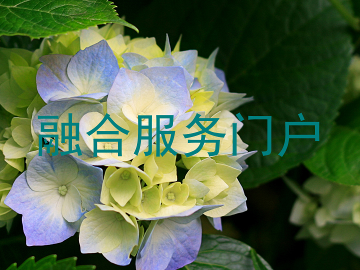 融合服务门户