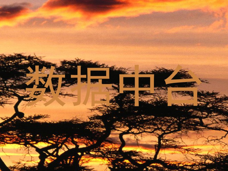 数据中台