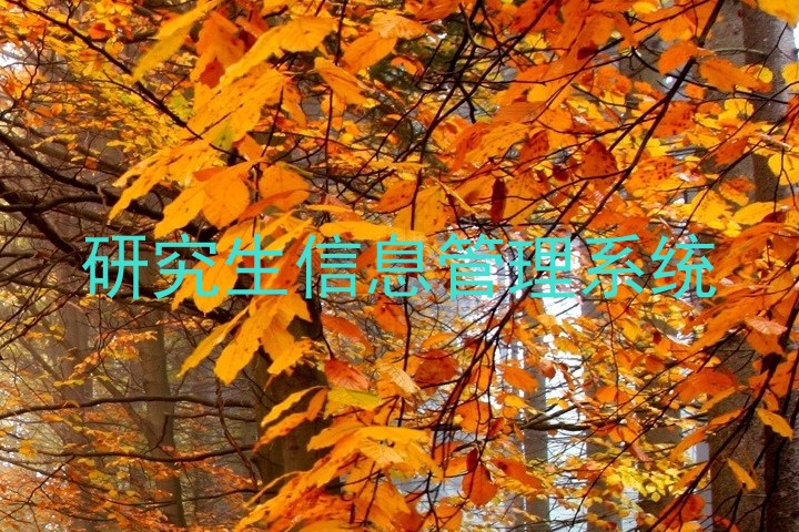 研究生信息管理系统