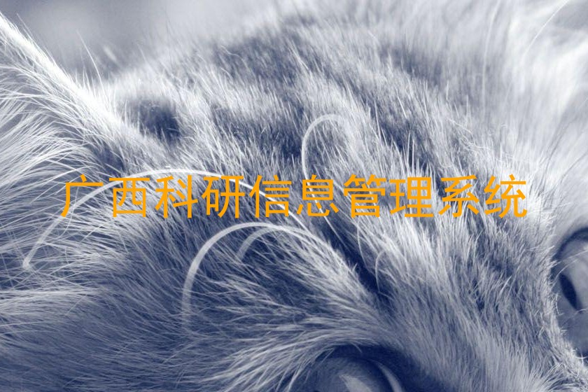 广西科研信息管理系统
