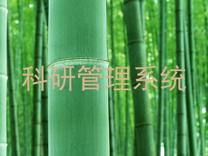 科研管理系统