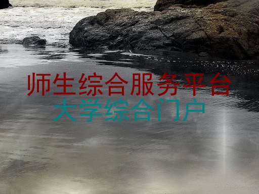 师生综合服务平台|大学综合门户