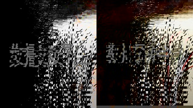 数据交换平台