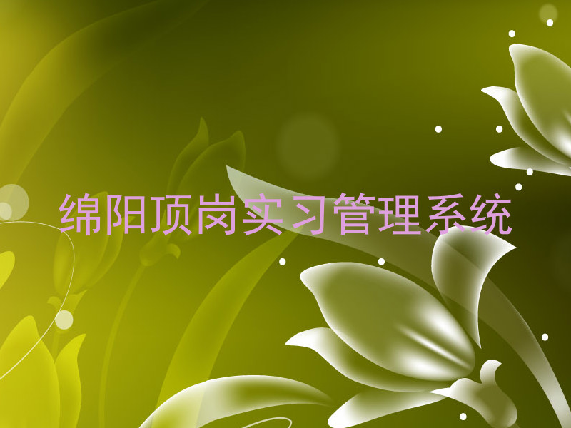 绵阳顶岗实习管理系统
