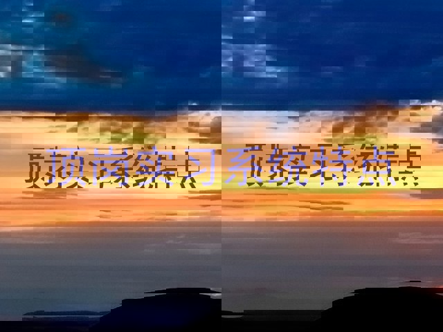 顶岗实习系统特点
