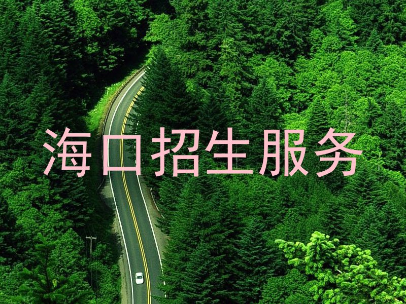 海口招生服务