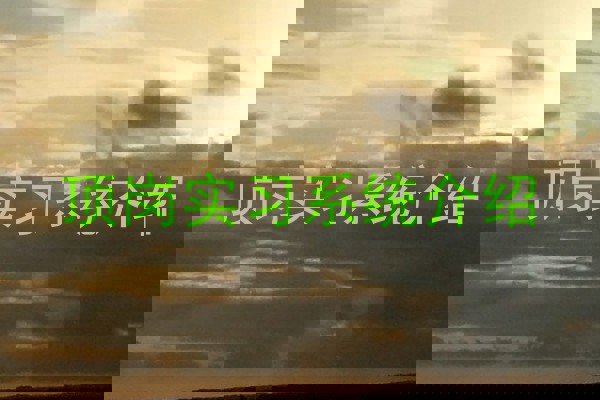 顶岗实习系统介绍