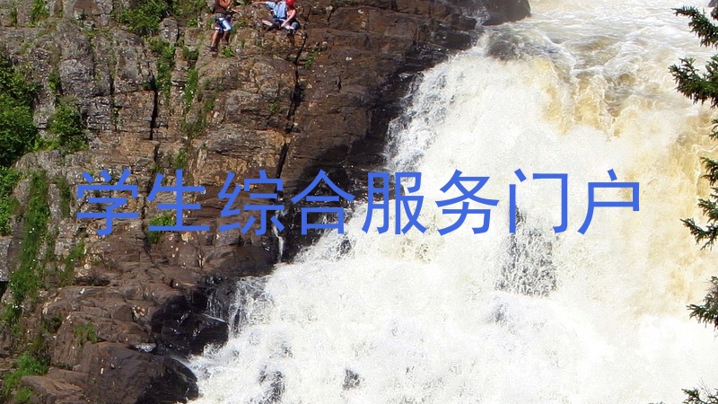 学生综合服务门户