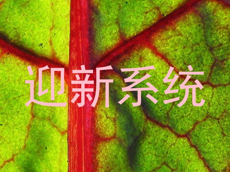 迎新系统