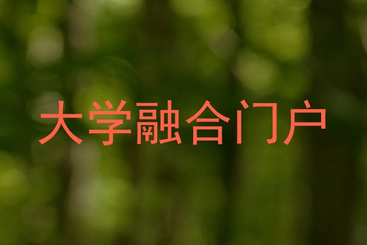 大学融合门户