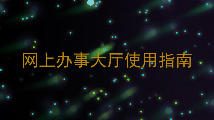 网上办事大厅使用指南