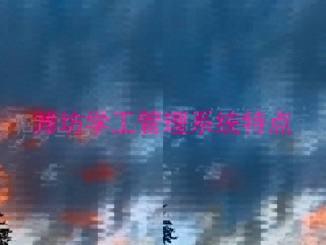 潍坊学工管理系统特点