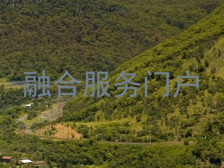 融合服务门户