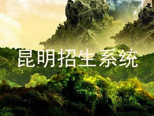 昆明招生系统