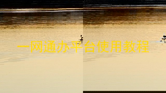 一网通办平台使用教程