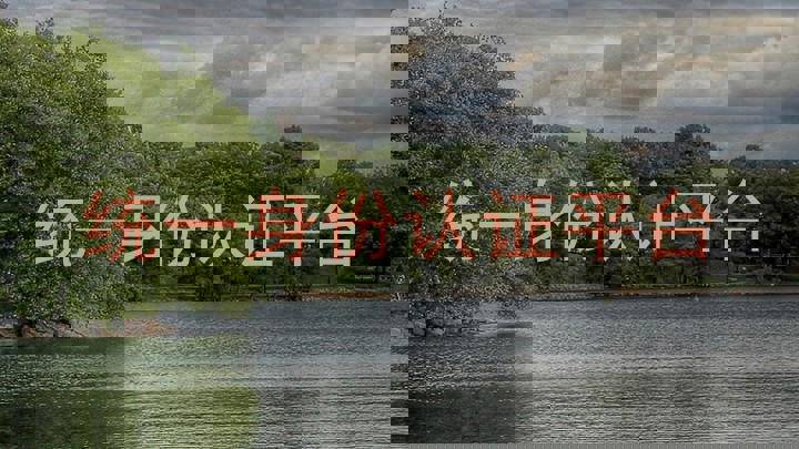 统一身份认证平台