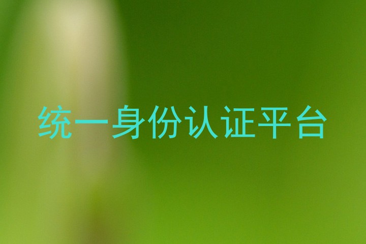 统一身份认证平台