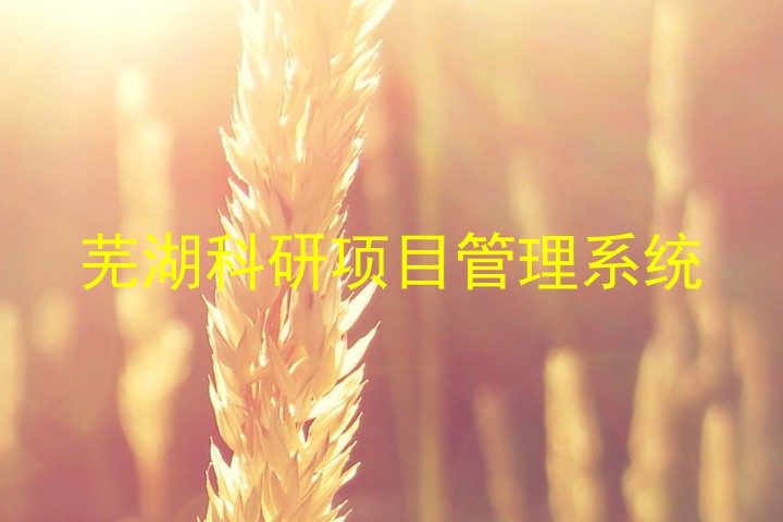 芜湖科研项目管理系统