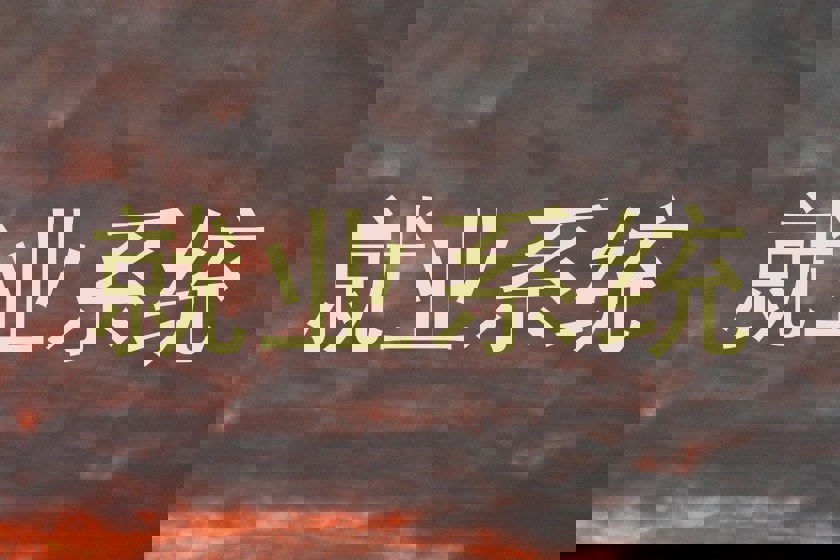 就业系统
