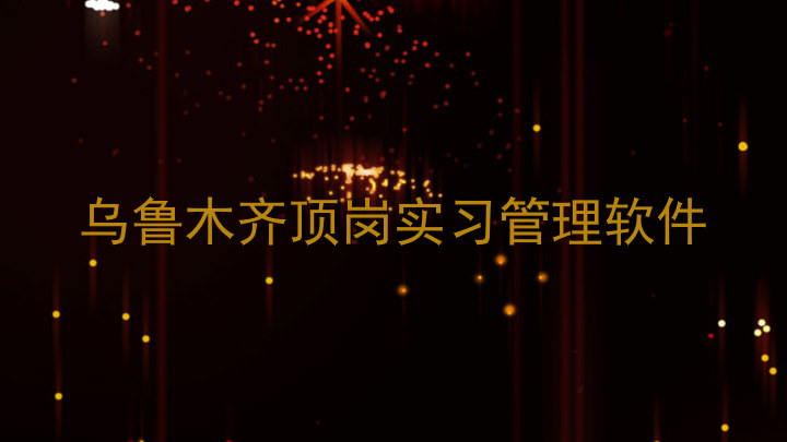 乌鲁木齐顶岗实习管理软件