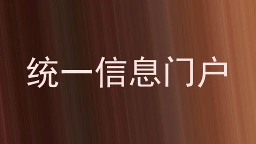 统一信息门户