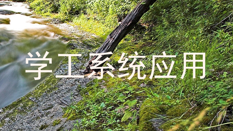 学工系统应用