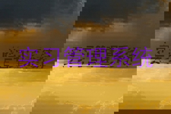 实习管理系统