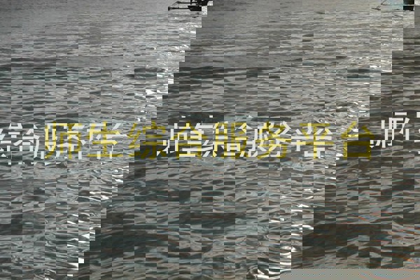 师生综合服务平台
