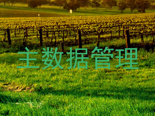 主数据管理