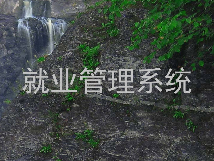 就业管理系统